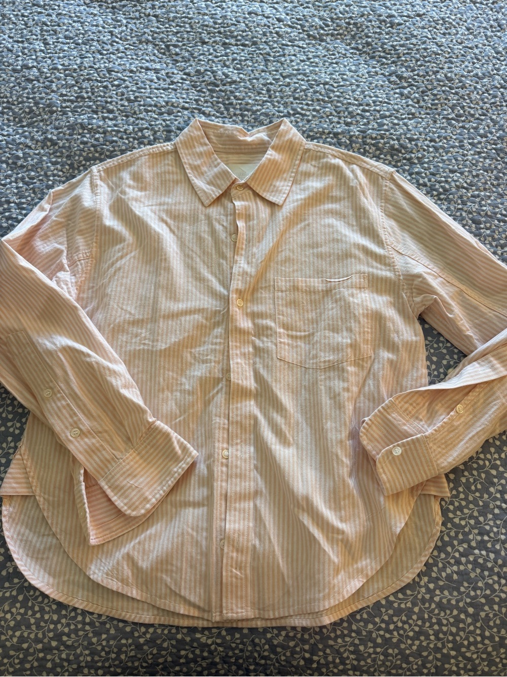 Citizens of Humanity Women’s Pale Pink Striped Button-Up Shirt